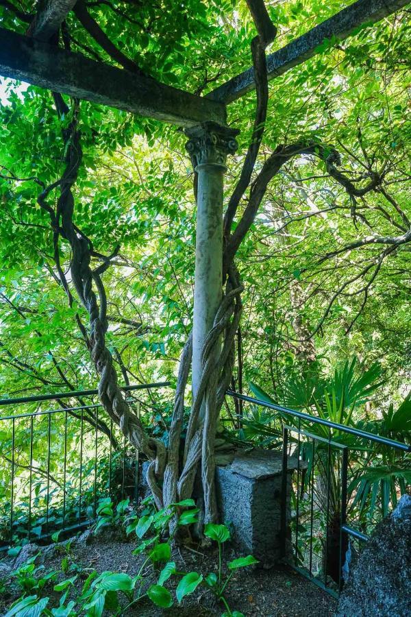 Villa Gina Варенна Экстерьер фото